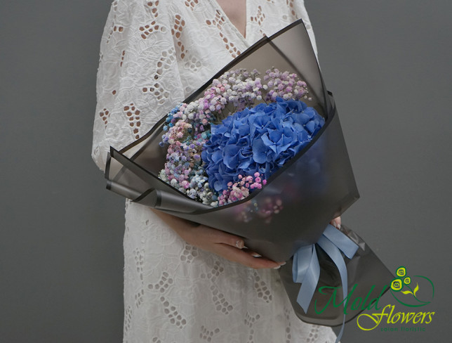 Bouquet with blue hydrangea and colored gypsophila photo